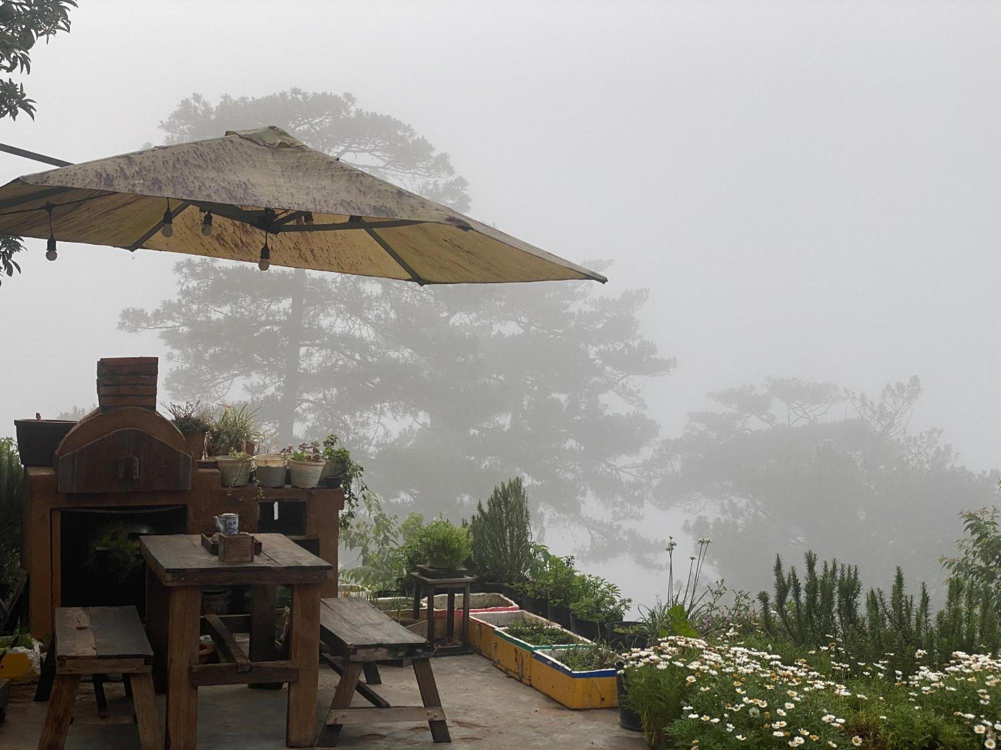 Dalat Memories Homestay - Pho Suong Mo Da Lat Eksteriør billede