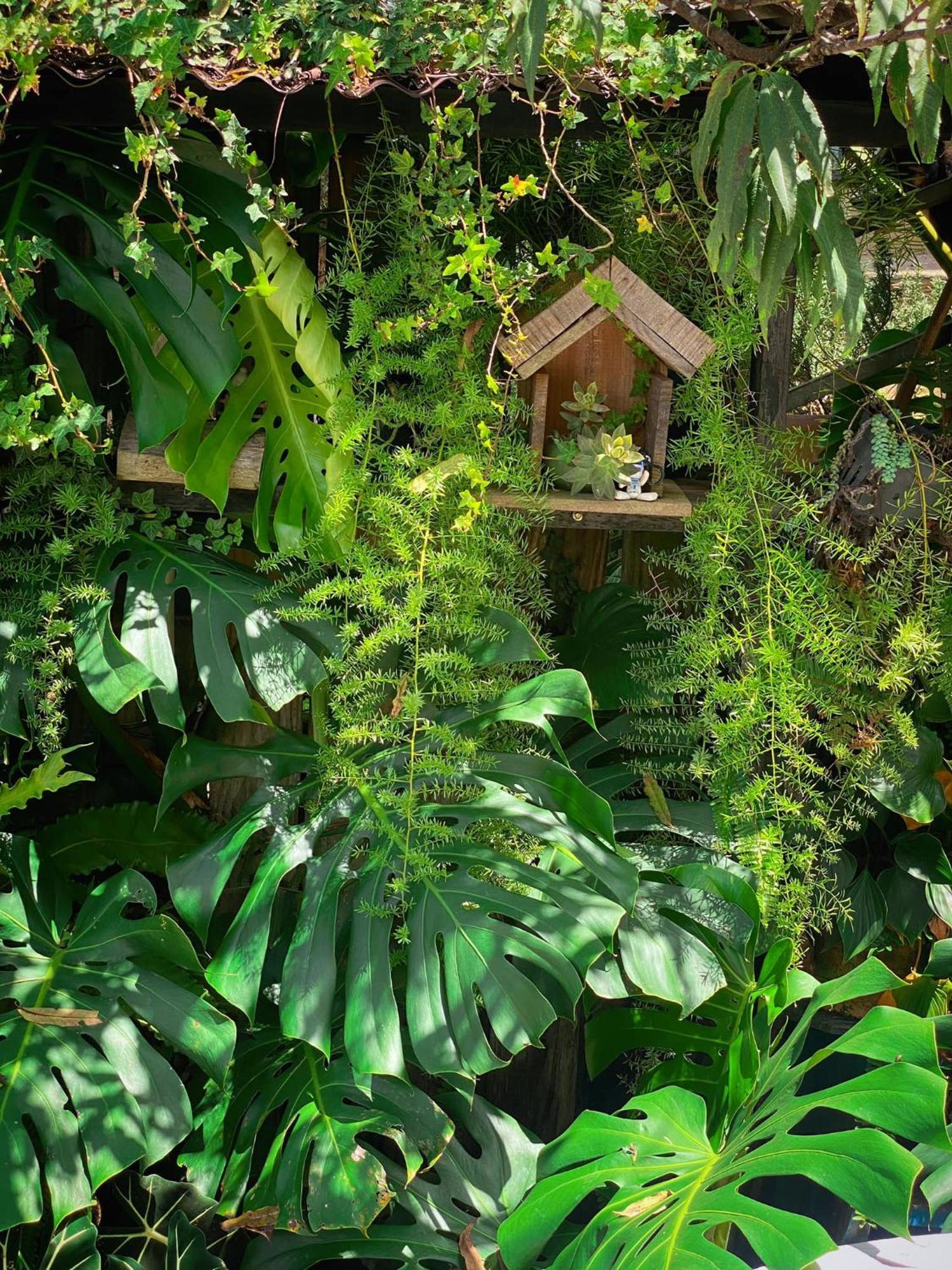 Dalat Memories Homestay - Pho Suong Mo Da Lat Eksteriør billede