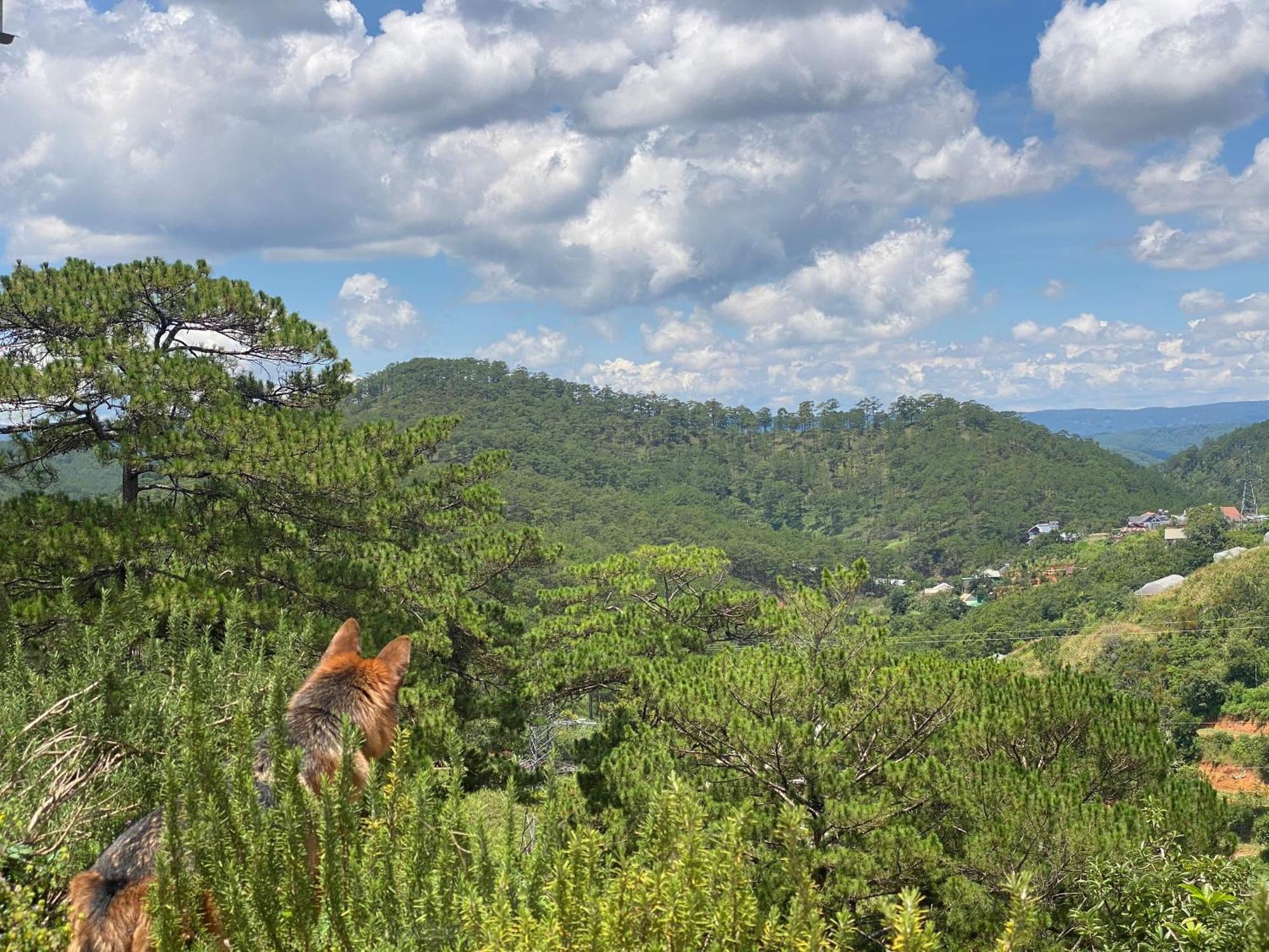Dalat Memories Homestay - Pho Suong Mo Da Lat Eksteriør billede