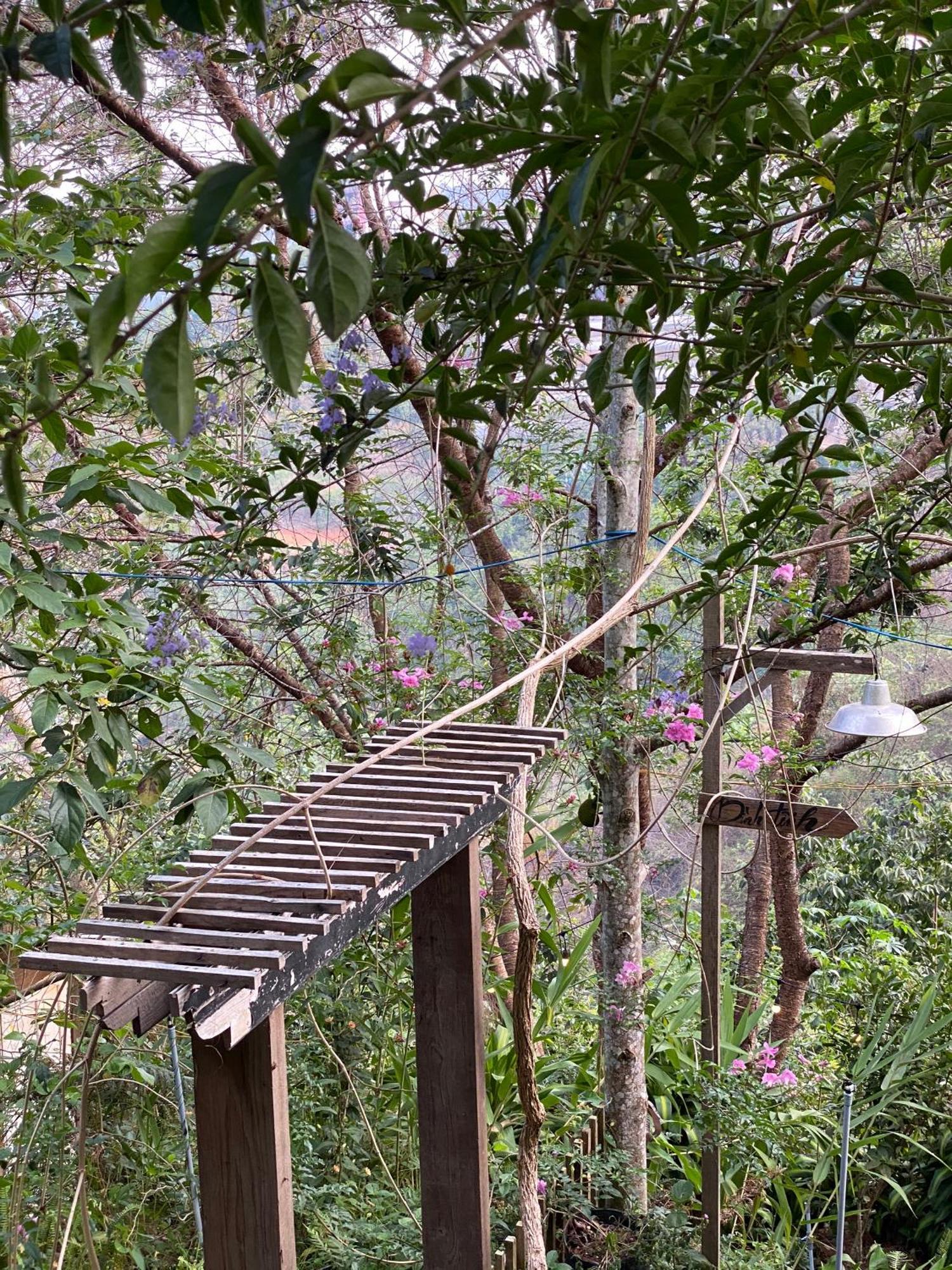 Dalat Memories Homestay - Pho Suong Mo Da Lat Eksteriør billede