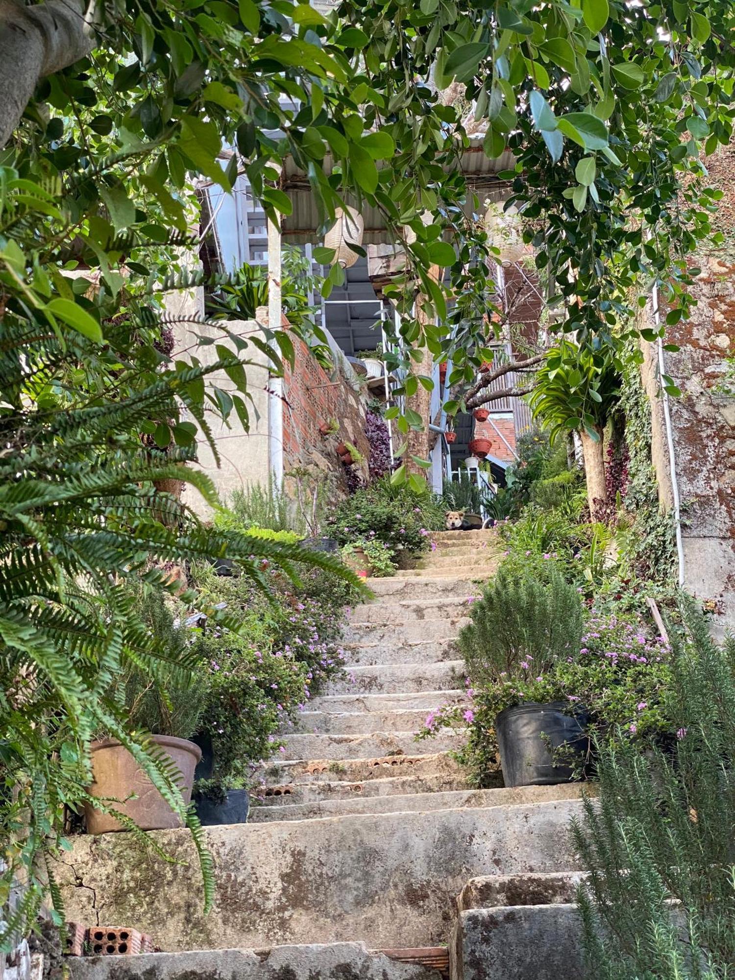 Dalat Memories Homestay - Pho Suong Mo Da Lat Eksteriør billede