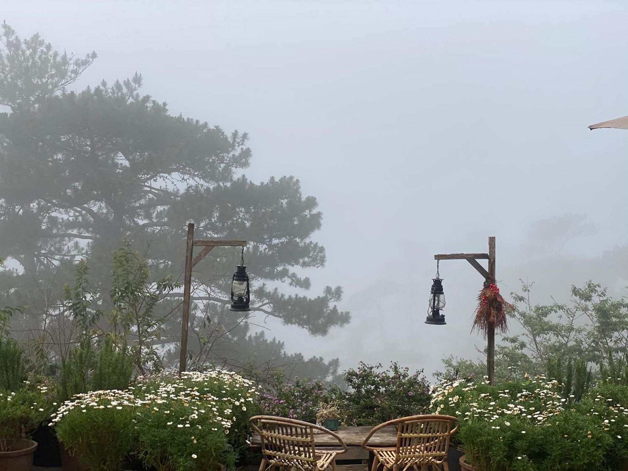 Dalat Memories Homestay - Pho Suong Mo Da Lat Eksteriør billede