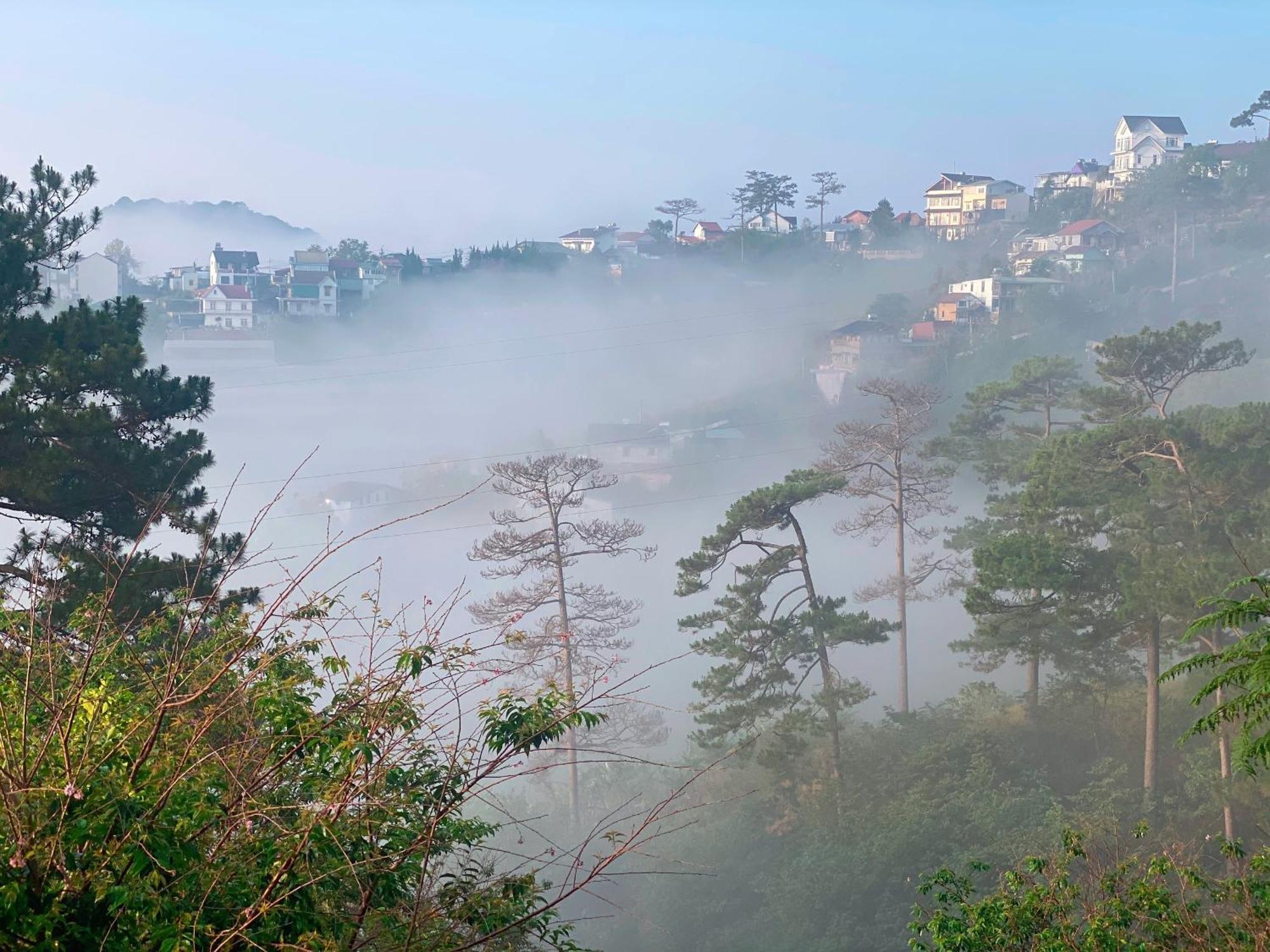 Dalat Memories Homestay - Pho Suong Mo Da Lat Eksteriør billede