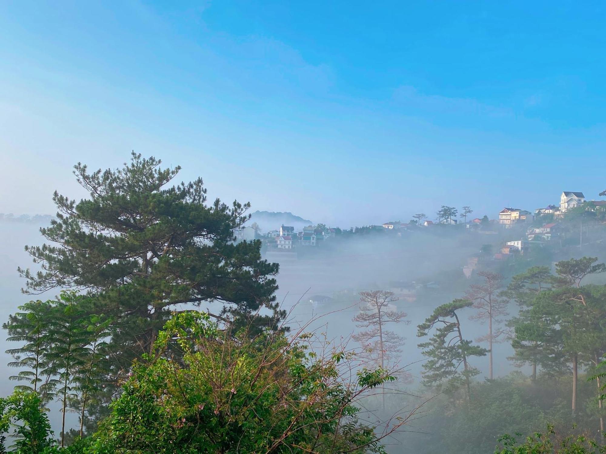 Dalat Memories Homestay - Pho Suong Mo Da Lat Eksteriør billede