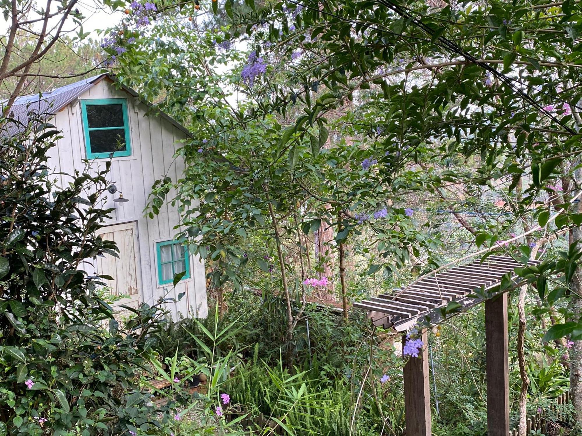 Dalat Memories Homestay - Pho Suong Mo Da Lat Eksteriør billede